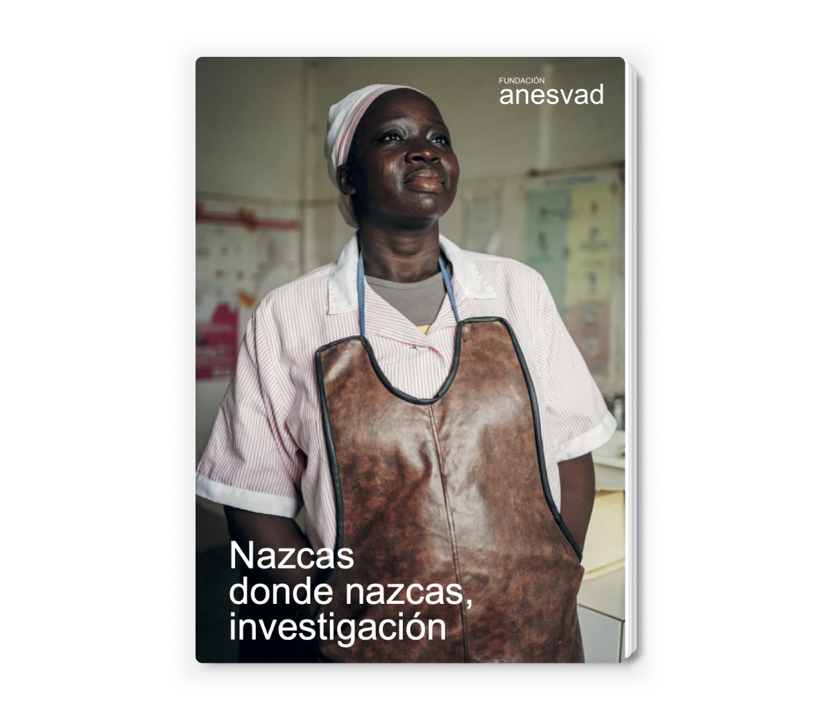 ANE - NDN, Investigación - Portada 3D